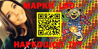 индика Славгород