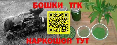 индика Славгород