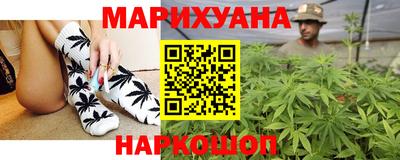 индика Славгород