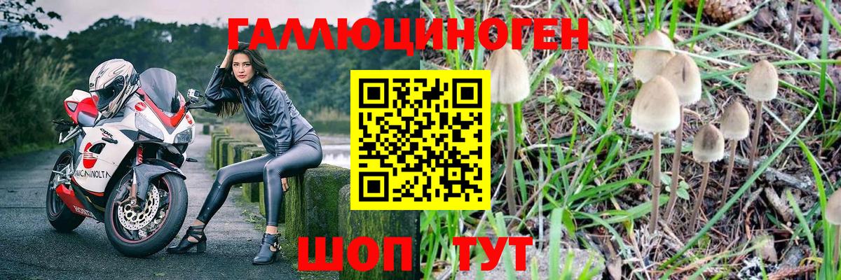 Галлюциногенные грибы MAGIC MUSHROOMS  Псилоцибиновые грибы Psilocybe  дарнет шоп  Ростов-на-Дону  Вход с VPN 