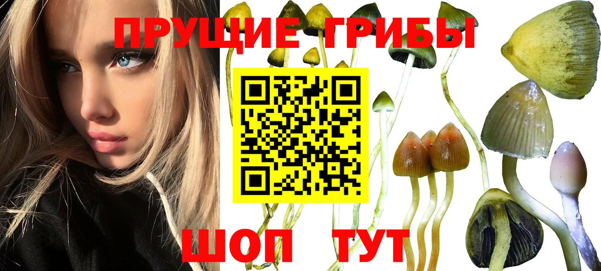 Галлюциногенные грибы мухоморы Ростов-на-Дону